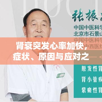 腎衰突發(fā)心率加快，癥狀、原因與應(yīng)對之策