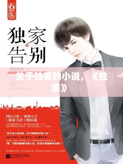 關于獨家的小說，《獨家》 