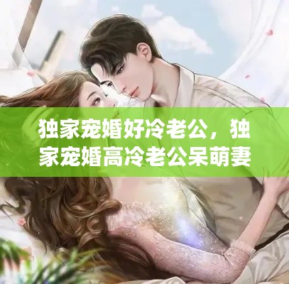 獨(dú)家寵婚好冷老公，獨(dú)家寵婚高冷老公呆萌妻 