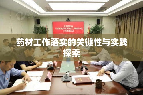 藥材工作落實的關鍵性與實踐探索