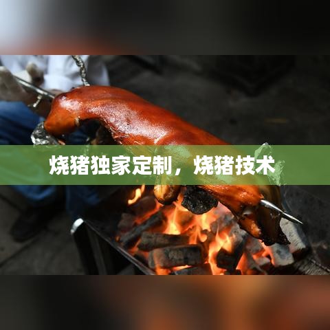 燒豬獨(dú)家定制，燒豬技術(shù) 