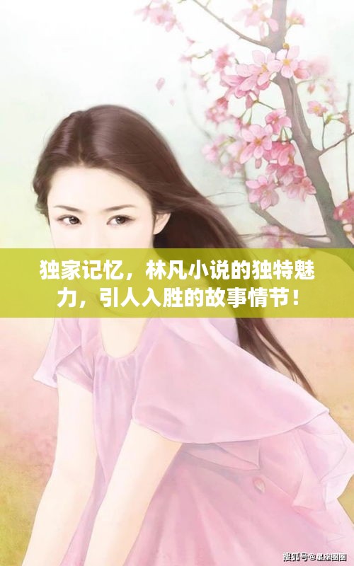 獨(dú)家記憶，林凡小說的獨(dú)特魅力，引人入勝的故事情節(jié)！