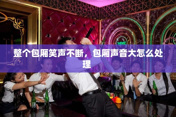 整個包廂笑聲不斷，包廂聲音大怎么處理 
