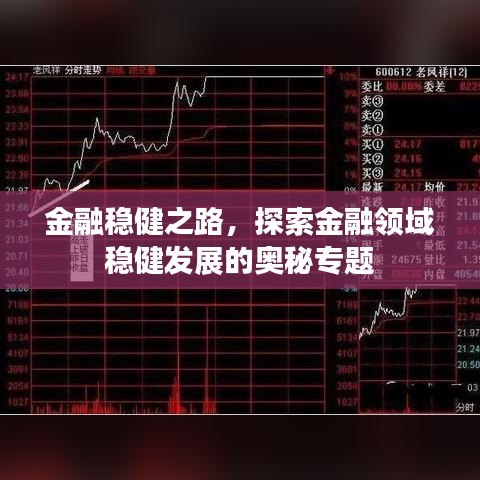 金融穩(wěn)健之路，探索金融領(lǐng)域穩(wěn)健發(fā)展的奧秘專題