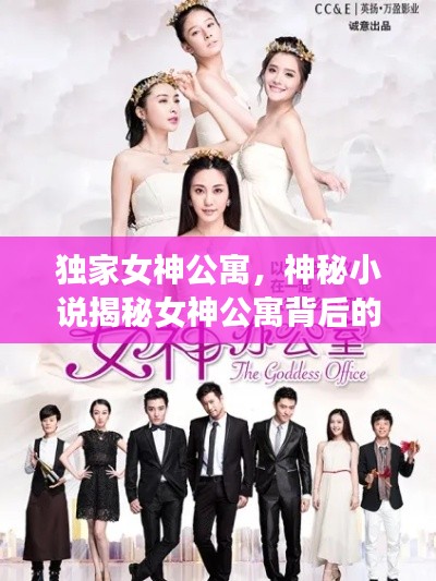 獨(dú)家女神公寓，神秘小說揭秘女神公寓背后的故事