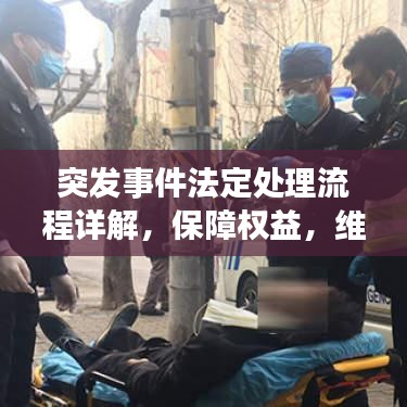 突發(fā)事件法定處理流程詳解，保障權(quán)益，維護(hù)秩序的關(guān)鍵步驟