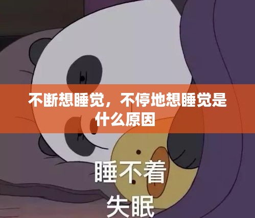 不斷想睡覺(jué)，不停地想睡覺(jué)是什么原因 