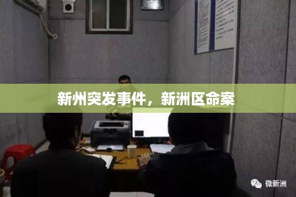 新州突發(fā)事件，新洲區(qū)命案 