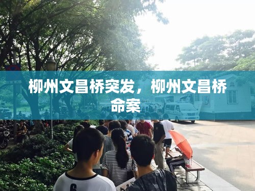 柳州文昌橋突發(fā)，柳州文昌橋命案 