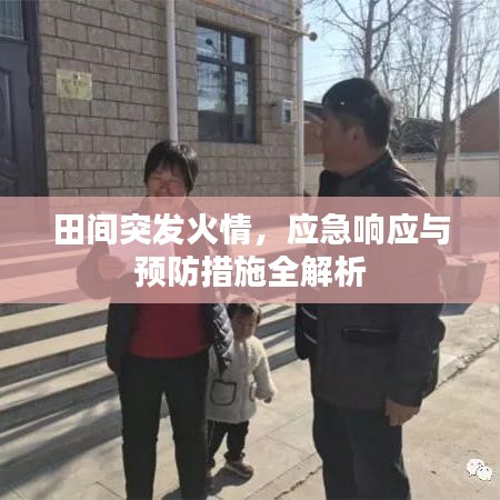 田間突發(fā)火情，應(yīng)急響應(yīng)與預(yù)防措施全解析