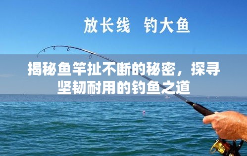 揭秘魚(yú)竿扯不斷的秘密，探尋堅(jiān)韌耐用的釣魚(yú)之道