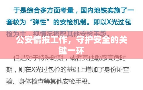 公安情報(bào)工作，守護(hù)安全的關(guān)鍵一環(huán)