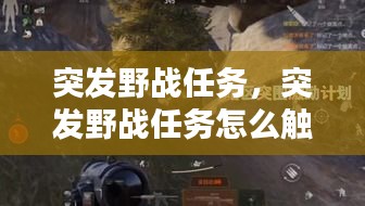 突發(fā)野戰(zhàn)任務(wù)，突發(fā)野戰(zhàn)任務(wù)怎么觸發(fā) 