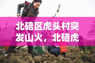 北碚區(qū)虎頭村突發(fā)山火，北碚虎頭山林果園怎么樣 