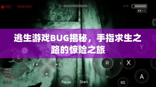 逃生游戲BUG揭秘，手指求生之路的驚險之旅