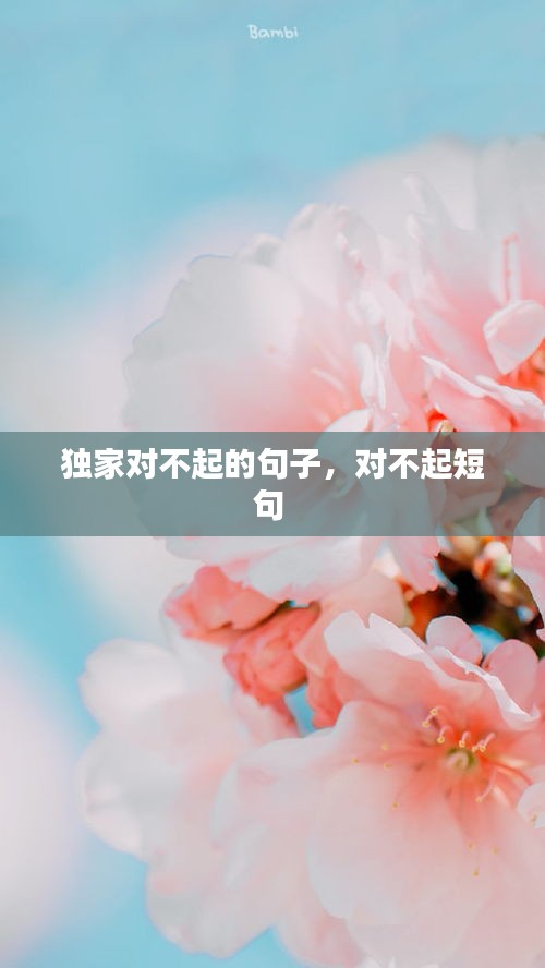 獨(dú)家對(duì)不起的句子，對(duì)不起短句 