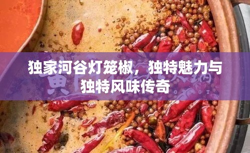 獨(dú)家河谷燈籠椒，獨(dú)特魅力與獨(dú)特風(fēng)味傳奇