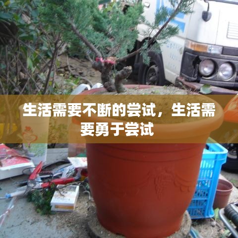 生活需要不斷的嘗試，生活需要勇于嘗試 
