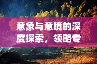意象與意境的深度探索，領(lǐng)略專題魅力