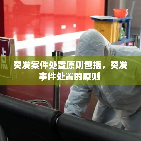 突發(fā)案件處置原則包括，突發(fā)事件處置的原則 