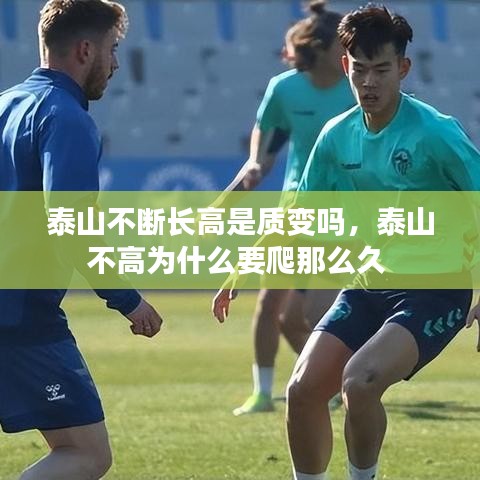 泰山不斷長高是質(zhì)變嗎，泰山不高為什么要爬那么久 