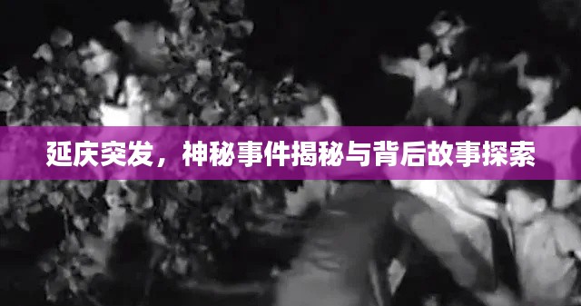 延慶突發(fā)，神秘事件揭秘與背后故事探索