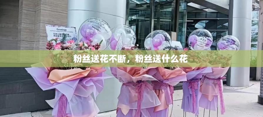 粉絲送花不斷，粉絲送什么花 