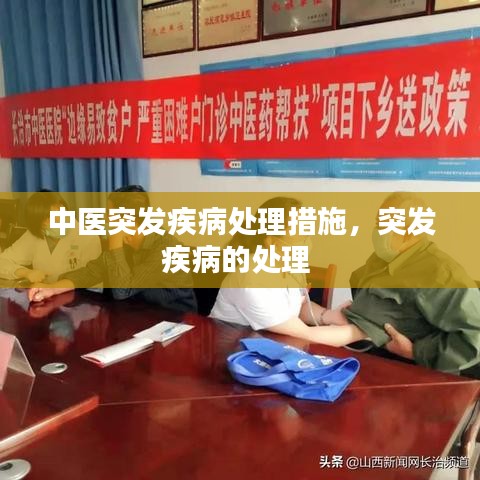 中醫(yī)突發(fā)疾病處理措施，突發(fā)疾病的處理 