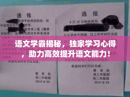 語文學(xué)霸揭秘，獨(dú)家學(xué)習(xí)心得，助力高效提升語文能力！