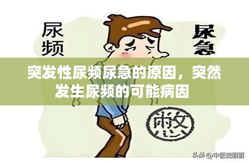 突發(fā)性尿頻尿急的原因，突然發(fā)生尿頻的可能病因 