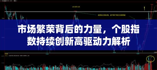 市場繁榮背后的力量，個股指數(shù)持續(xù)創(chuàng)新高驅(qū)動力解析