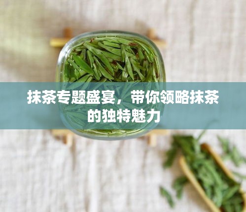 抹茶專(zhuān)題盛宴，帶你領(lǐng)略抹茶的獨(dú)特魅力