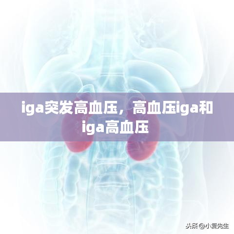 iga突發(fā)高血壓，高血壓iga和iga高血壓 