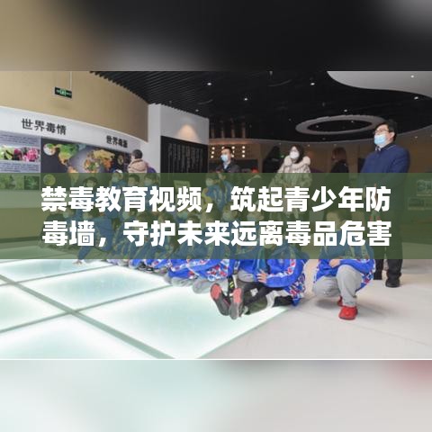 禁毒教育視頻，筑起青少年防毒墻，守護(hù)未來遠(yuǎn)離毒品危害