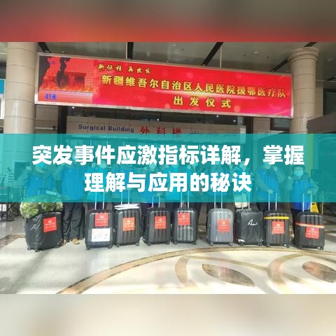 突發(fā)事件應(yīng)激指標(biāo)詳解，掌握理解與應(yīng)用的秘訣