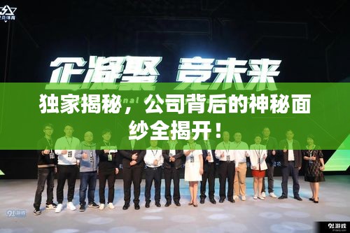 獨(dú)家揭秘，公司背后的神秘面紗全揭開！