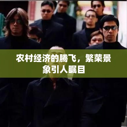 農(nóng)村經(jīng)濟(jì)的騰飛，繁榮景象引人矚目