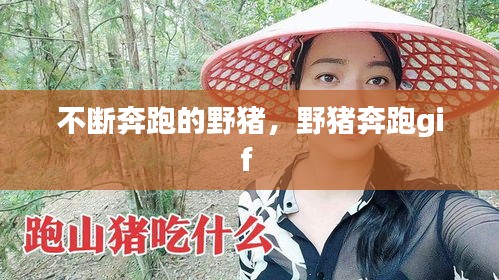 不斷奔跑的野豬，野豬奔跑gif 
