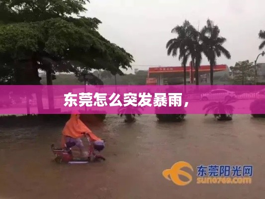 東莞怎么突發(fā)暴雨， 