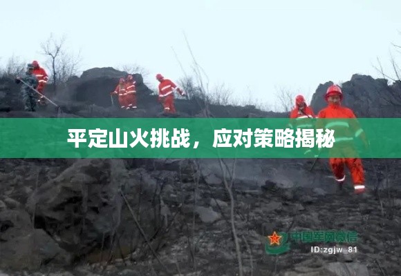 平定山火挑戰(zhàn)，應(yīng)對(duì)策略揭秘