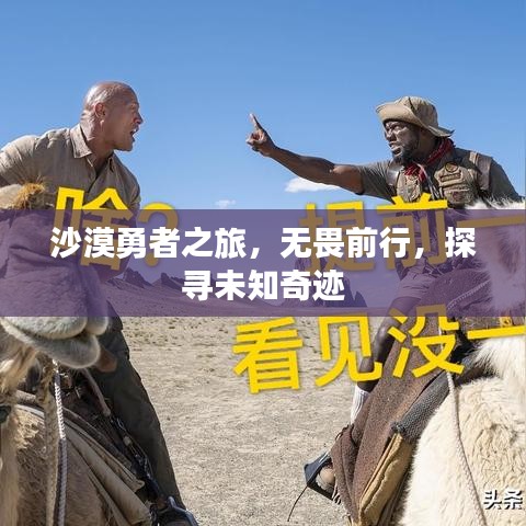 沙漠勇者之旅，無(wú)畏前行，探尋未知奇跡
