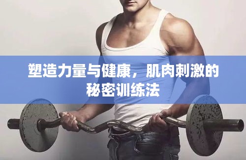塑造力量與健康，肌肉刺激的秘密訓練法