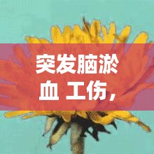 突發(fā)腦淤血 工傷，腦淤血算幾級傷殘 