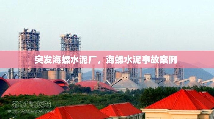 突發(fā)海螺水泥廠，海螺水泥事故案例 