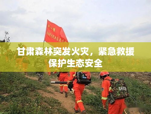 甘肅森林突發(fā)火災(zāi)，緊急救援保護(hù)生態(tài)安全