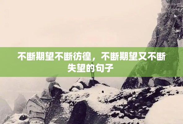不斷期望不斷彷徨，不斷期望又不斷失望的句子 