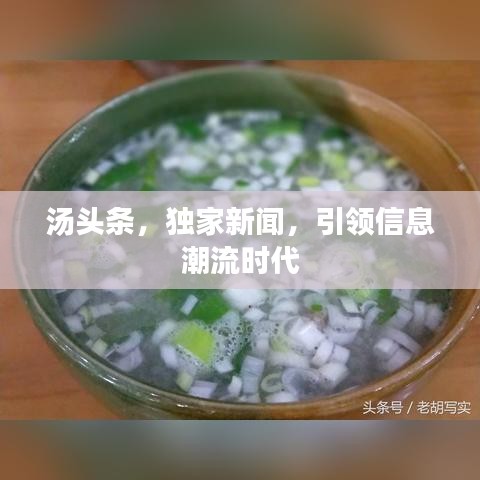 湯頭條，獨家新聞，引領(lǐng)信息潮流時代