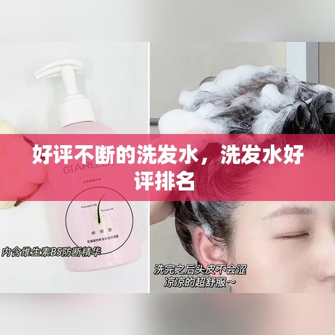 好評不斷的洗發(fā)水，洗發(fā)水好評排名 