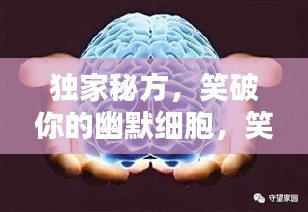 獨家秘方，笑破你的幽默細胞，笑料大解密！