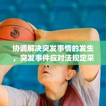 協(xié)調(diào)解決突發(fā)事情的發(fā)生，突發(fā)事件應(yīng)對(duì)法規(guī)定采用調(diào)解 